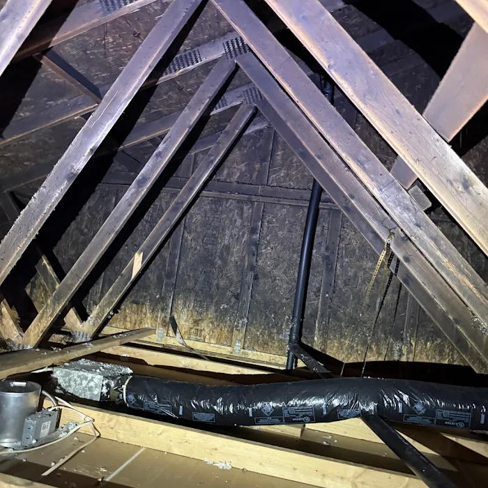 PuroClean of Northeast Tacoma Picture 10