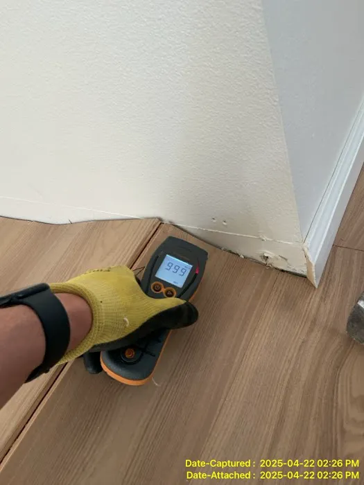 PuroClean of Northeast Tacoma Picture 5