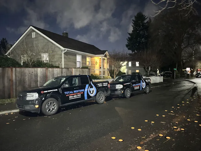 Total Restore Picture 2