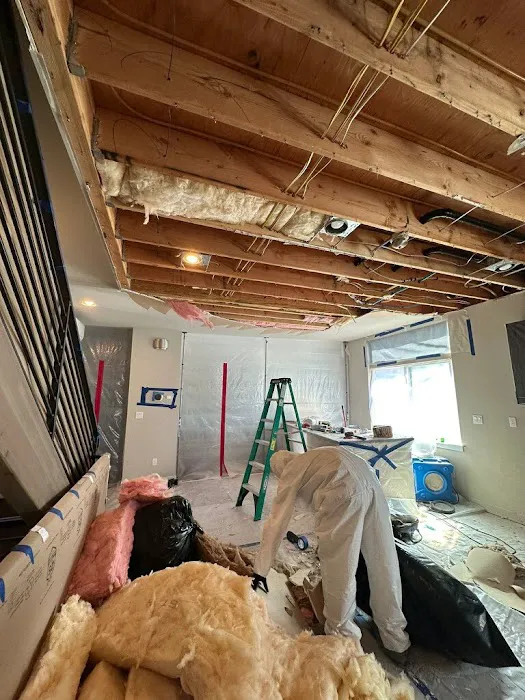 Total Restore Picture 3