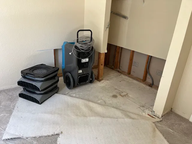 Total Restore Picture 5