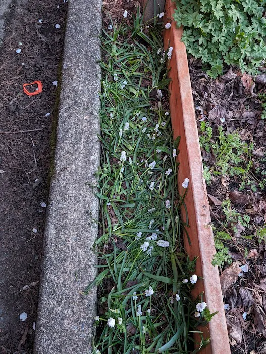 FireWater Restoration Services | DKI Picture 6