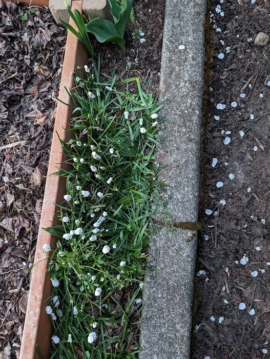 FireWater Restoration Services | DKI Picture 2