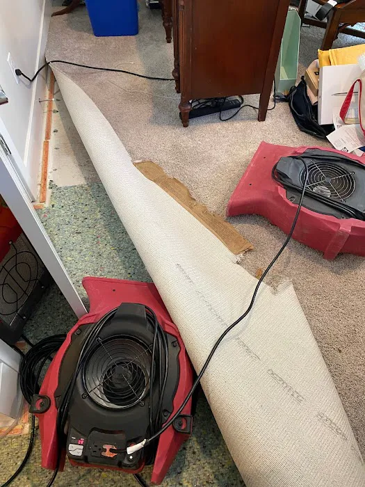 PuroClean of Sammamish Picture 1