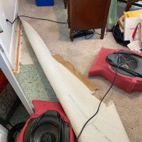 PuroClean of Sammamish ico