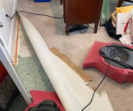 PuroClean of Sammamish