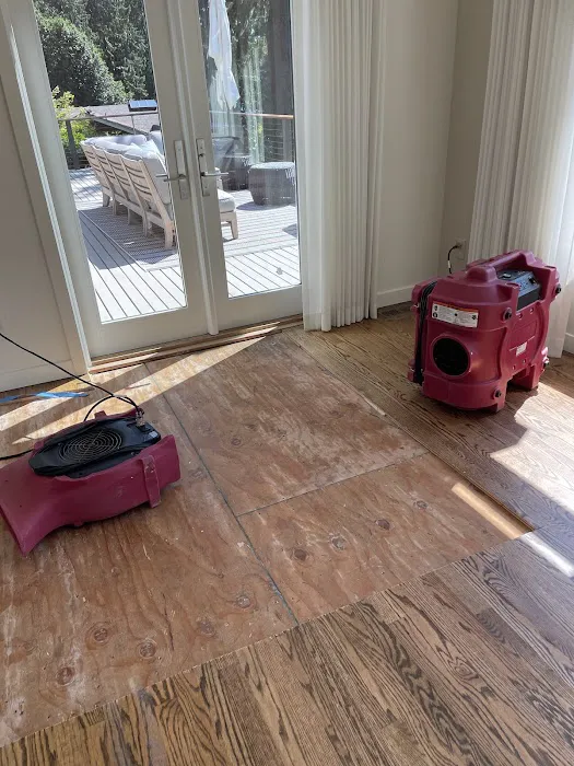 PuroClean of Sammamish Picture 3