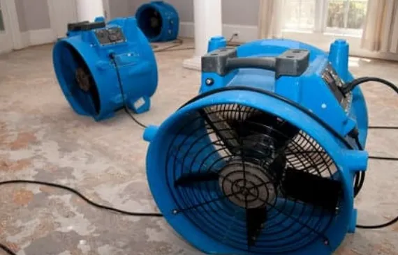 Mold Remediation Experts-SeaTac Picture 3