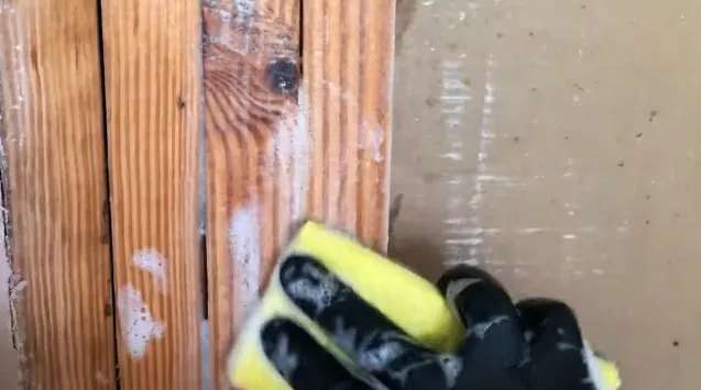 Mold Remediation Experts-SeaTac Picture 1