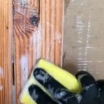 Mold Remediation Experts-SeaTac