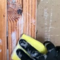 Mold Remediation Experts-SeaTac ico