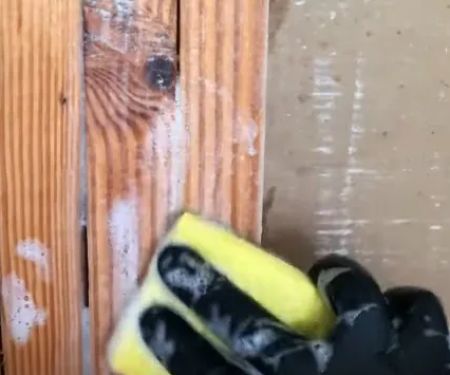 Mold Remediation Experts-SeaTac