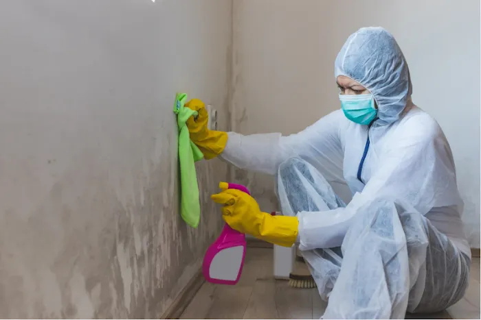 Mold Remediation Experts-SeaTac Picture 2