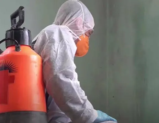 Mold Remediation Experts-SeaTac Picture 4