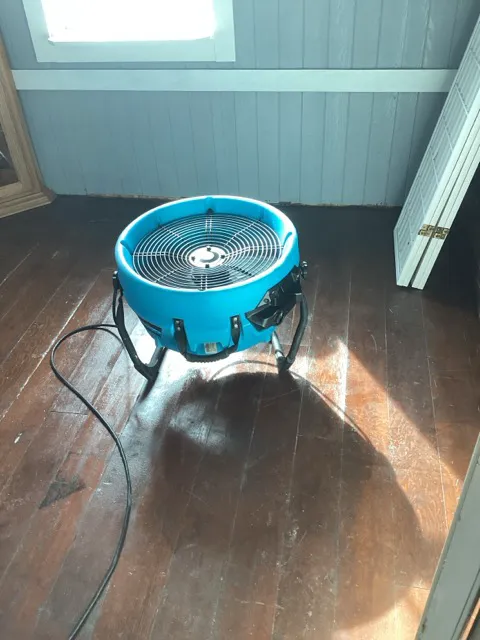 Restoration 1 of South Sound Picture 5