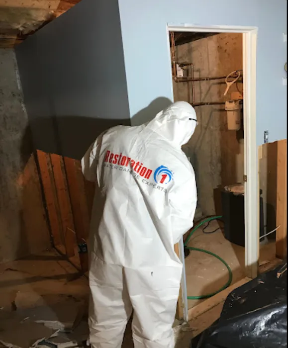 Restoration 1 of South Sound Picture 10