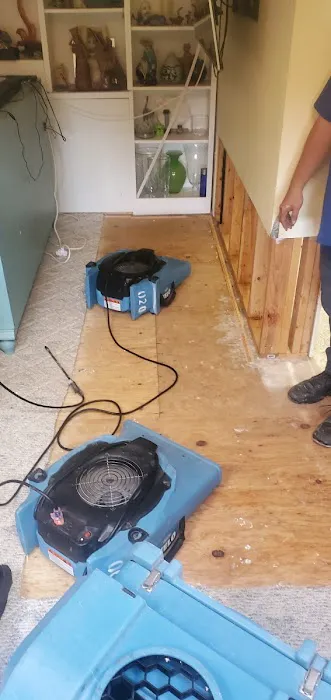 Washington Restorer LLC Picture 2