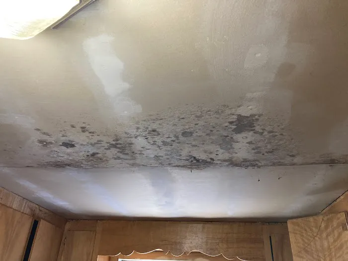 5 Microns Inc. Asbestos, Mold, Drinking Water, Radon, Air Quality Testing Lab Picture 5