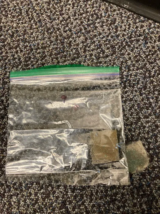 5 Microns Inc. Asbestos, Mold, Drinking Water, Radon, Air Quality Testing Lab Picture 3