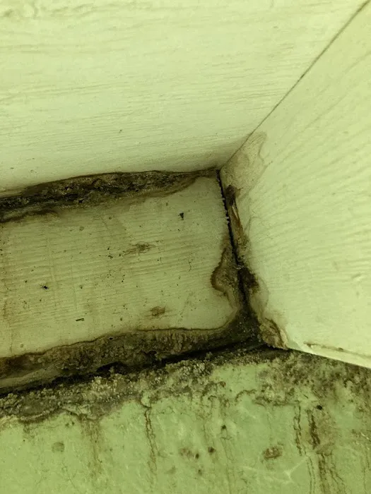 5 Microns Inc. Asbestos, Mold, Drinking Water, Radon, Air Quality Testing Lab Picture 10