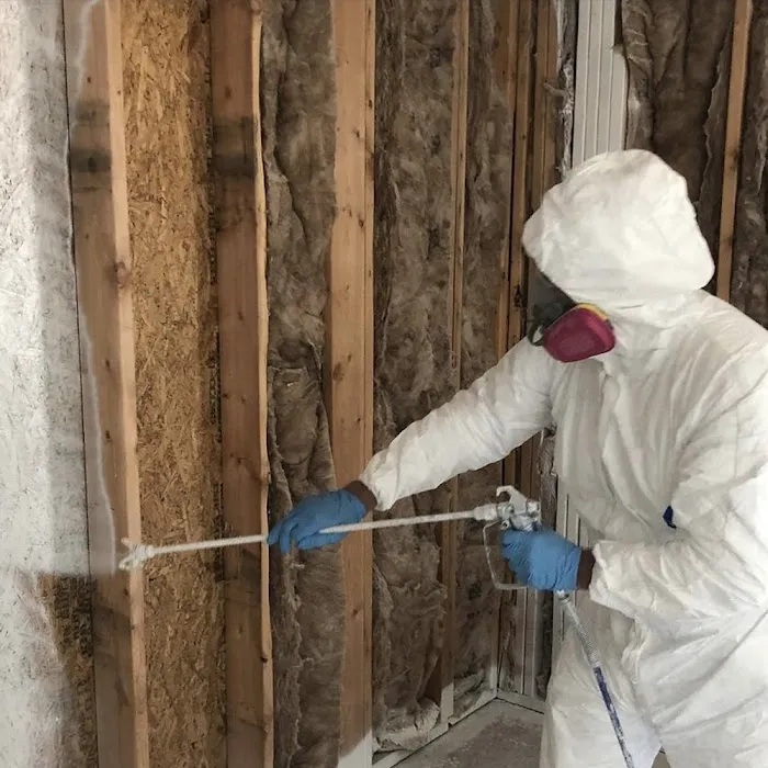 Seattle Mold And Restoration Service Picture 1