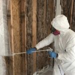 Seattle Mold And Restoration Service