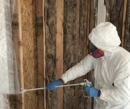 Seattle Mold And Restoration Service