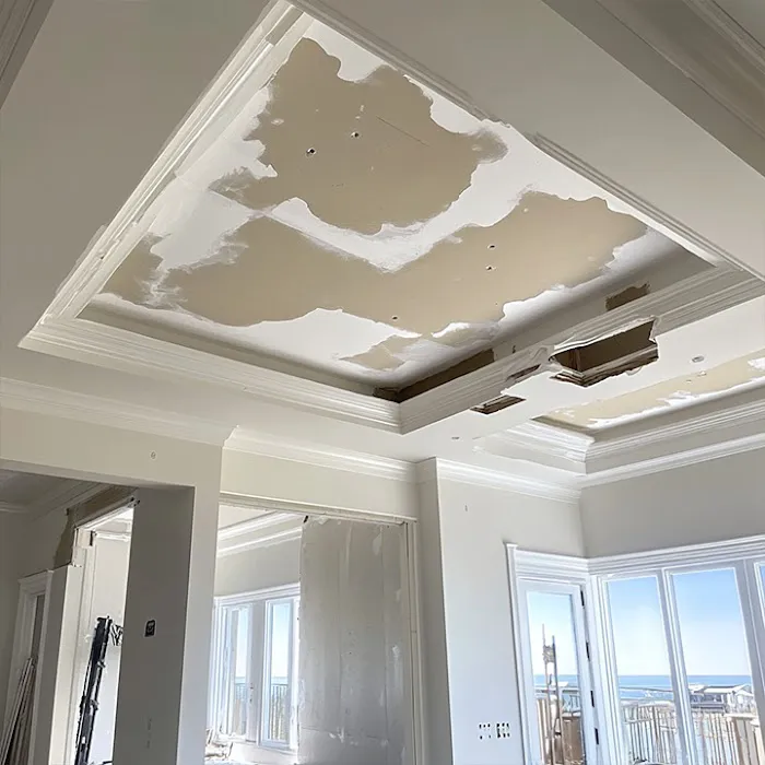 Seattle Mold And Restoration Service Picture 6