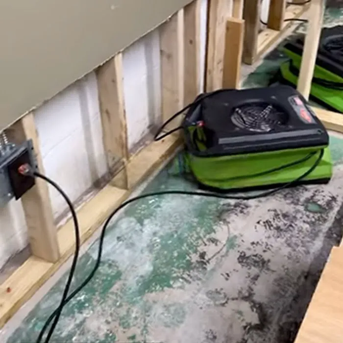 Seattle Mold And Restoration Service Picture 9