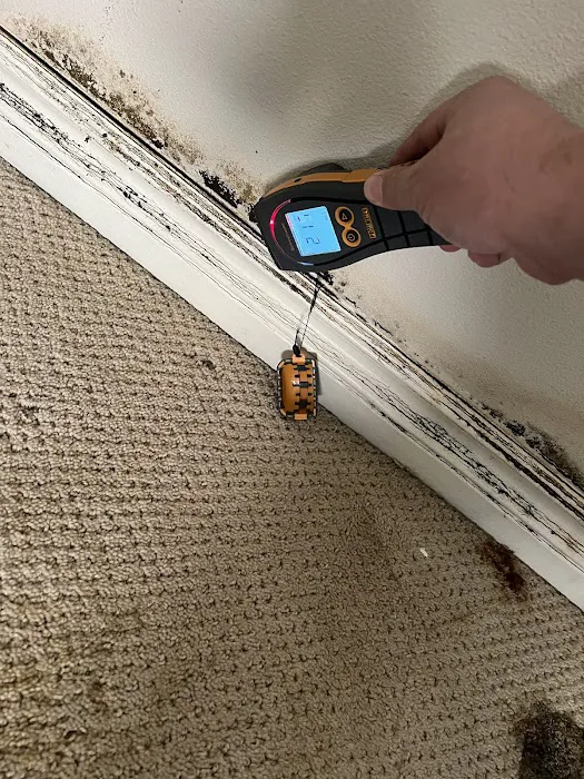 Bell Restoration Picture 8