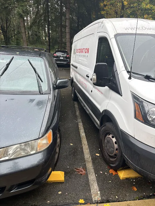 Bell Restoration Picture 1