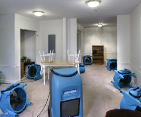 Daniels Water Damage Cleanup & Mitigation