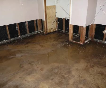 Horizon Water Damage Services