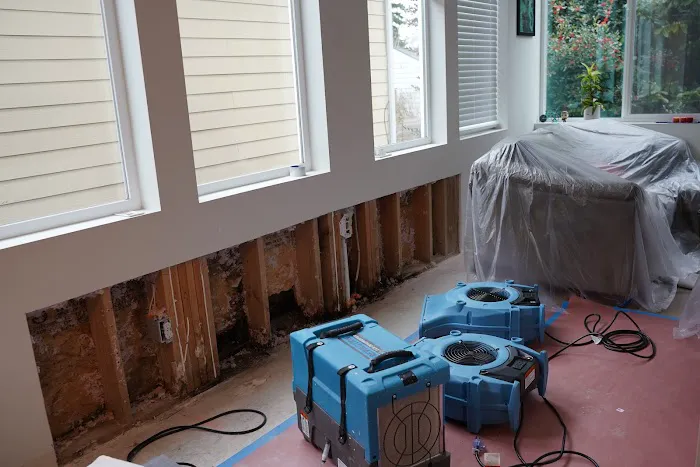 Boulder Peak Restoration Picture 2