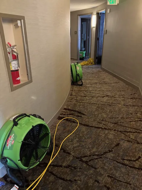 SERVPRO of Bellevue Picture 5
