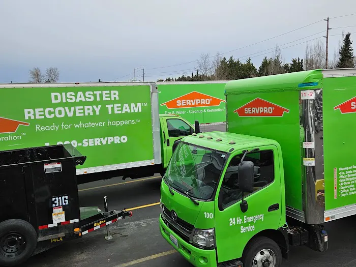 SERVPRO of Bellevue Picture 6