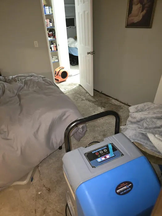 Restoration 24 Picture 2