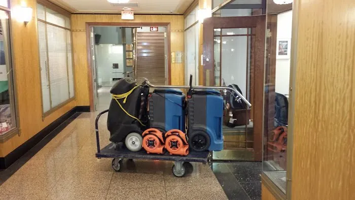 911 Restoration of Bellevue Picture 8