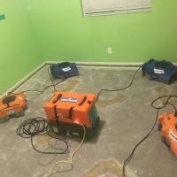 911 Restoration of Bellevue ico