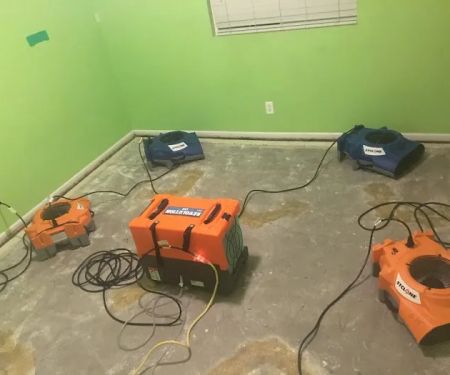 911 Restoration of Bellevue