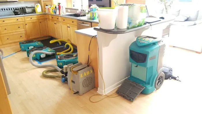 Bellevue Water & Fire Damage Experts Picture 2