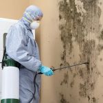 Wharton Water Damage Restoration Services