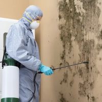 Wharton Water Damage Restoration Services ico