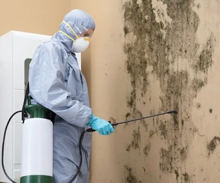 Wharton Water Damage Restoration Services