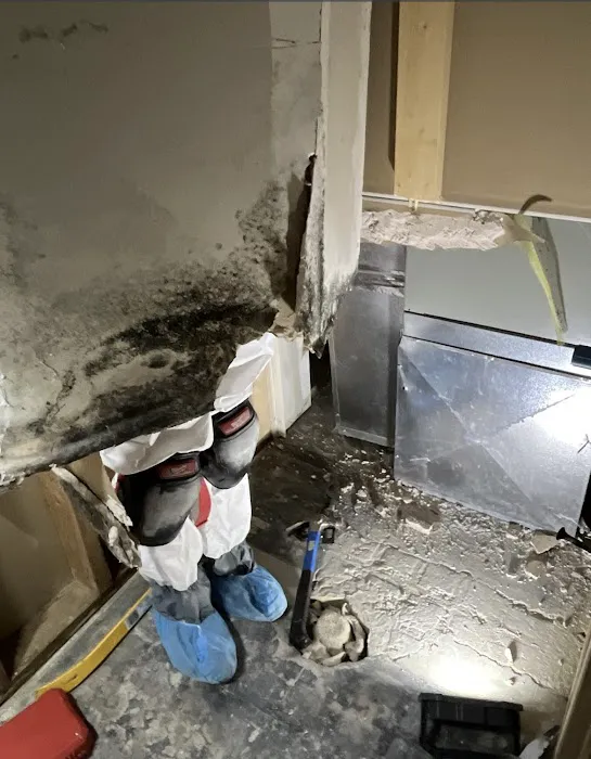 Pacific Water Restoration LLC Picture 10