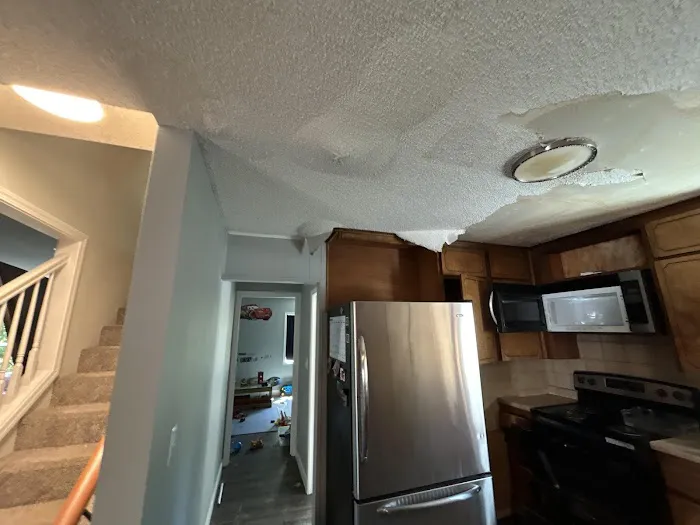 South Sound Water Recovery Picture 9