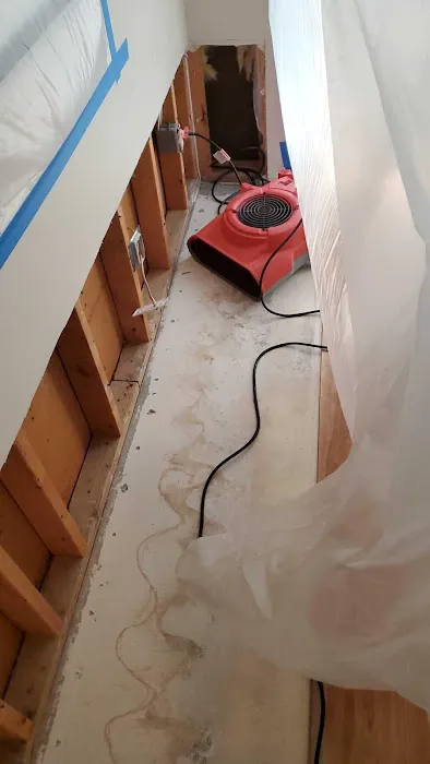 South Sound Water Recovery Picture 4