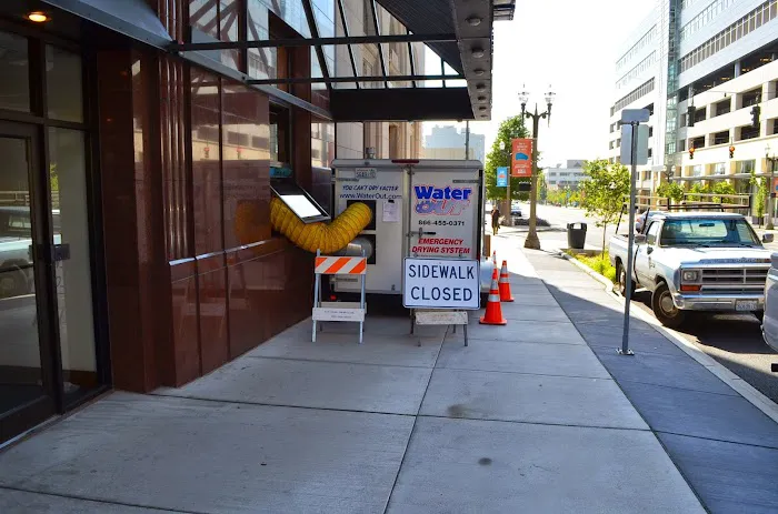 Water Out South Puget Sound Picture 6