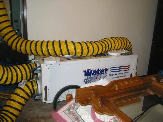 Water Out South Puget Sound Picture 5