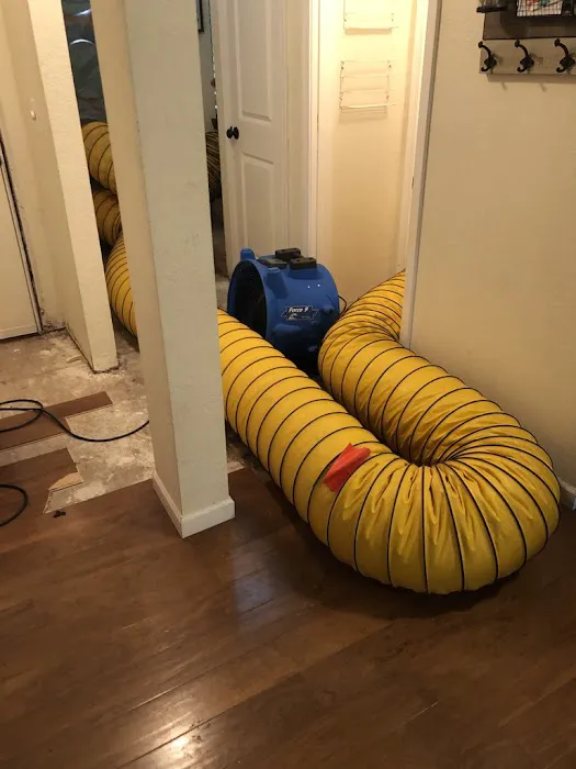 Water Out South Puget Sound Picture 4